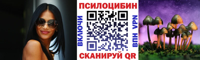 нарко площадка телеграм  blacksprut маркетплейс  Кяхта  Галлюциногенные грибы MAGIC MUSHROOMS 